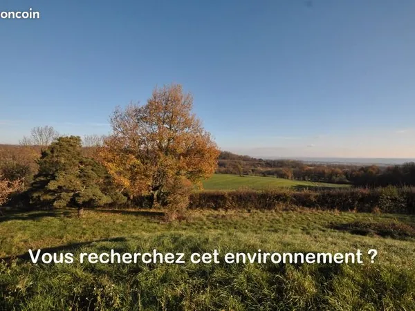 Maison 4 pièces 99 m² 