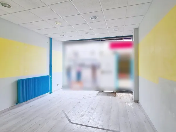 Immobilier Professionnel à vendre Chalon-sur-Saône 
