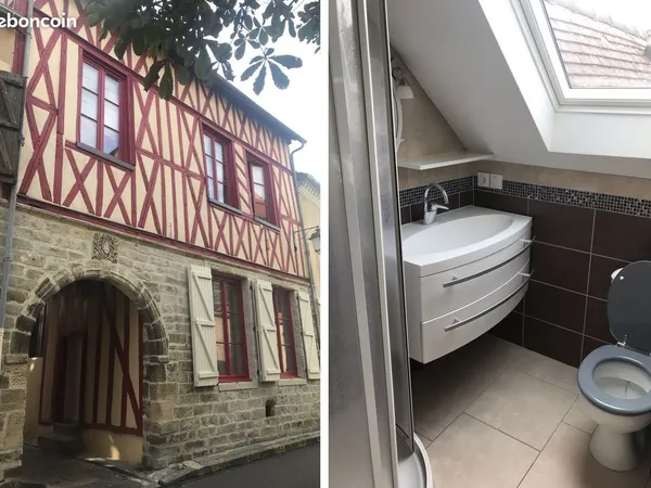 F2 Duplex Meublé Hyper Centre 