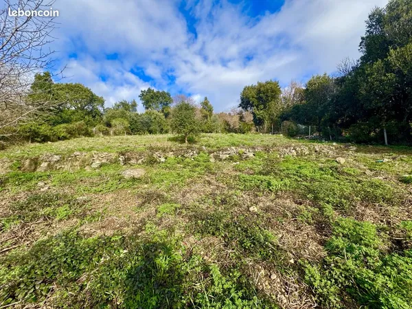 Terrain 2092 m² Talasani 