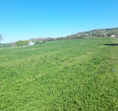 Propriété 