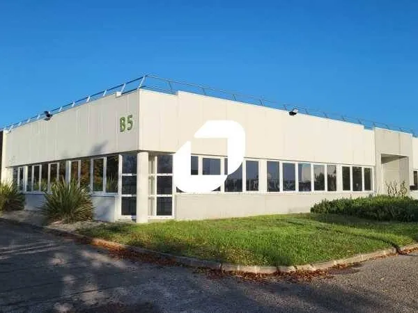Bureaux 1134 m² 