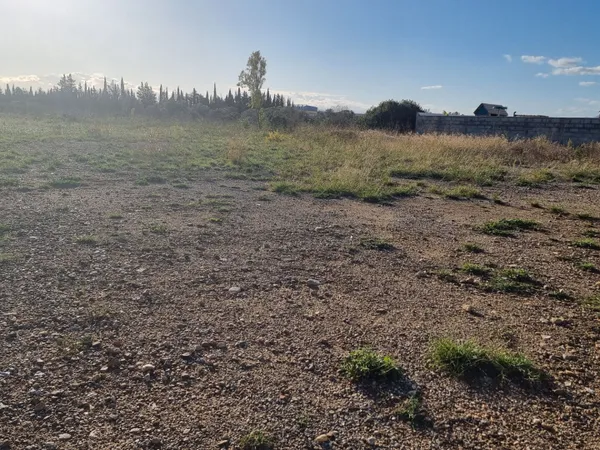 Terrain 982 m² 