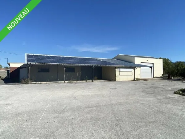 Local d'activité 740 m² 