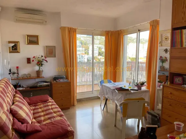 Appartement 1 pièce 23 m² 