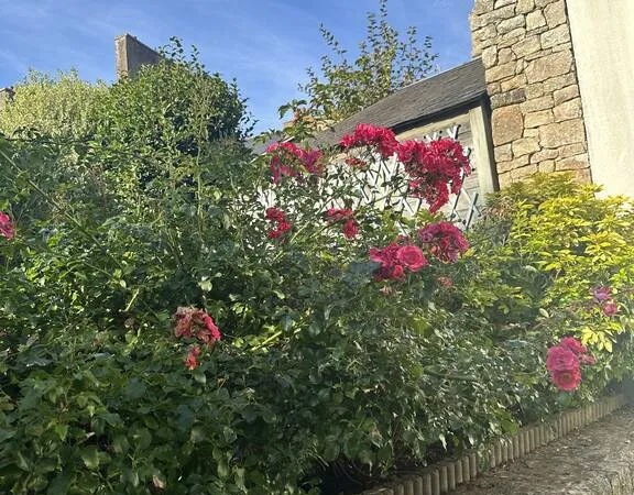Maison 6 pièces 185 m² 