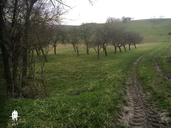 TERRAIN constructible et verger de 1845 m2