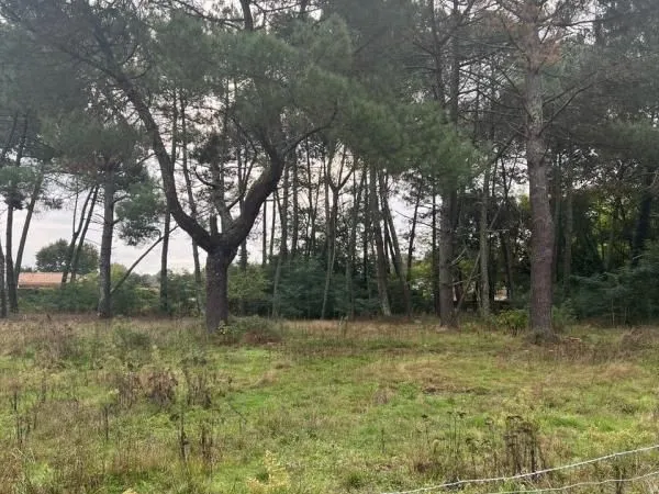 Terrain 1 000 m² Leognan 