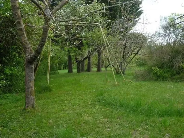 Jardin/vergé/arbres fruitier/ apiculture avec remise 