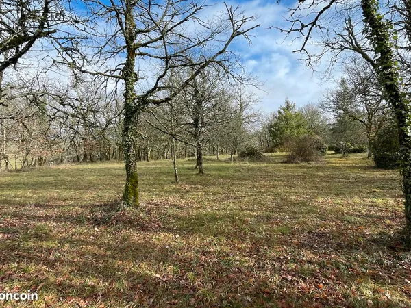 Terrain constructible - 1 775 m² - Catus 