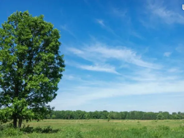 Terrain 578 m² Wicres 