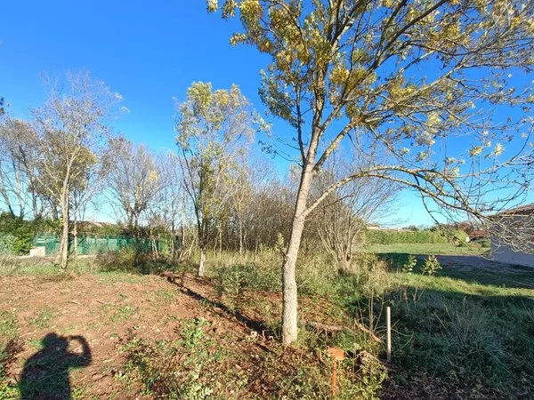 Terrain 393 m² 
