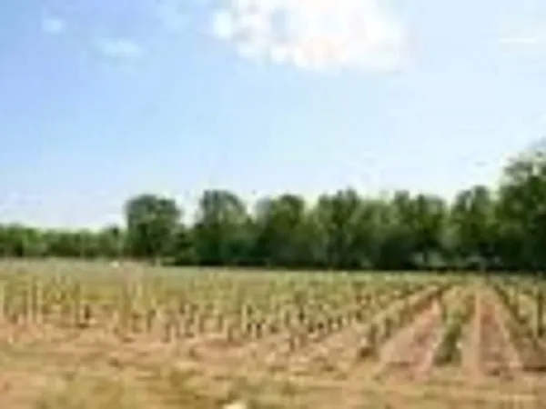 Terrain 515 m² 