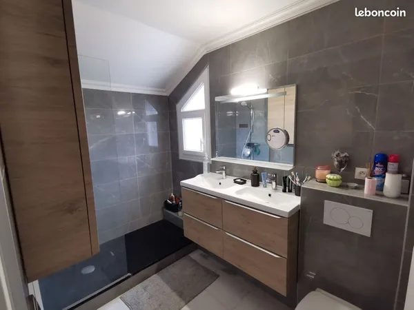 Collocation mixte 20 mns de Paris duplex 