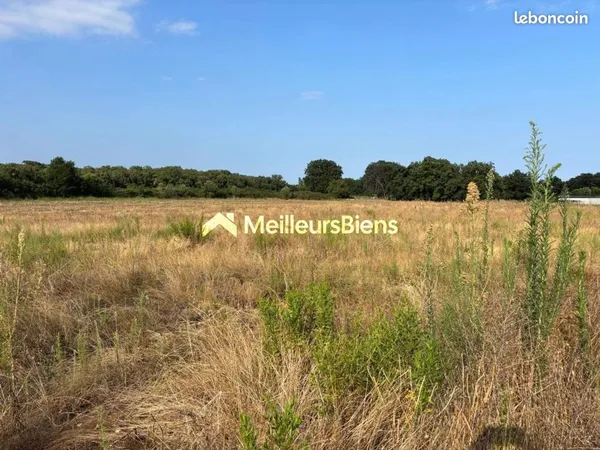 Terrain 1 176 m² Prunelli Di Fiumorbo 