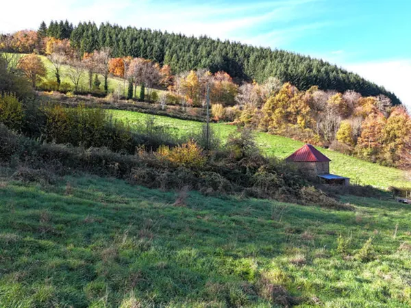 Terrain 2179 m² 