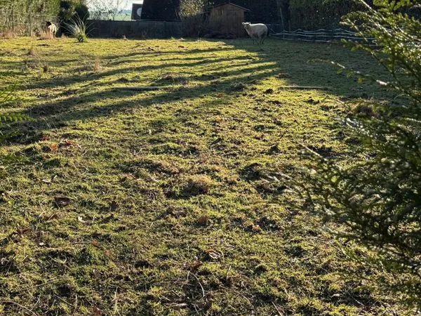Terrain 600 m² Gerville 