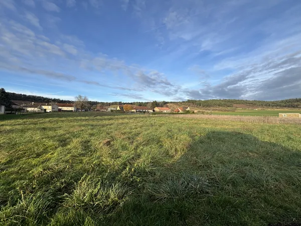 POINCON LES LARREY (21130) Terrains avec bois et taillis de 