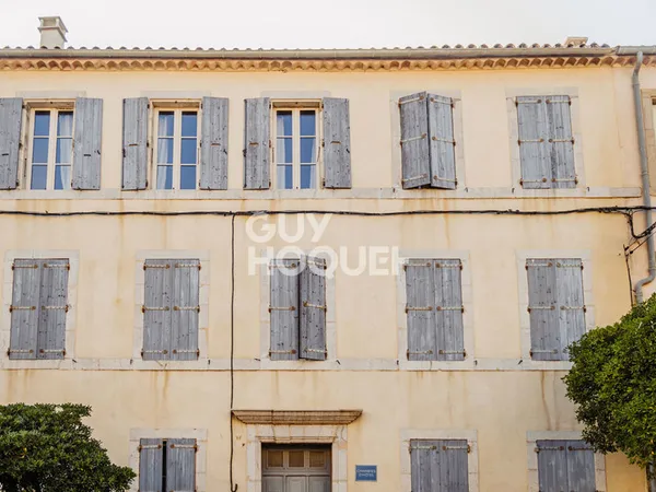 Exceptionnel sur Gruissan Demeure bourgeoise, Chambres d'hôtes Appartement Magasin 