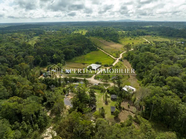 Ensemble immobilier de gîtes touristiques sur Montsinéry-Ton 