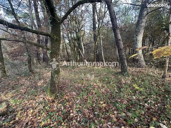 Terrain 3024 m² Neuvic 