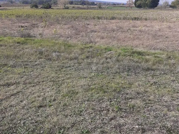 Terrain constructible a Garidech(31380) 