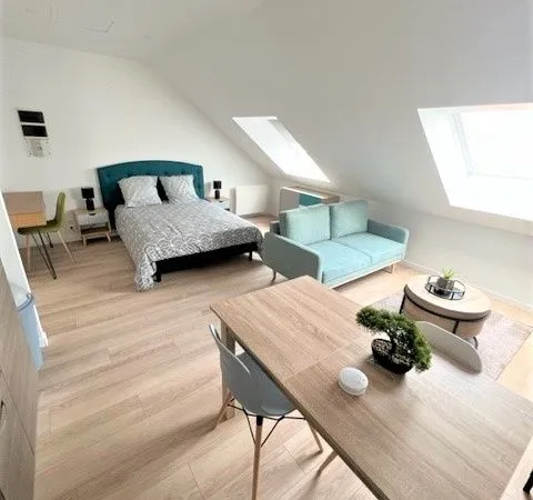 Loft 1 pièce 22 m² 