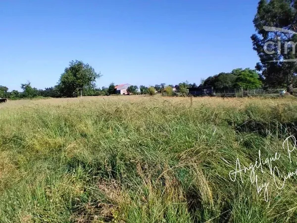 Propriété 50 m² 