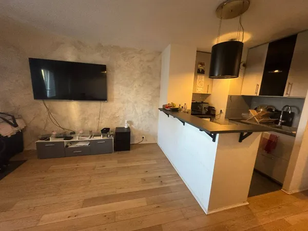 Appartement 1 pièce 26 m² 