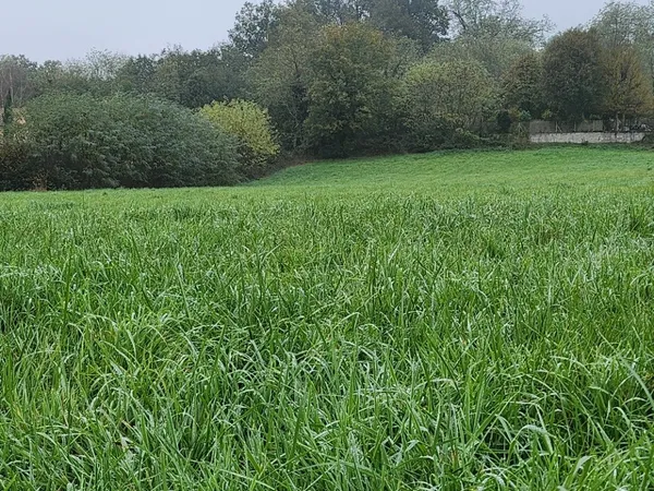 Terrain 543 m² 