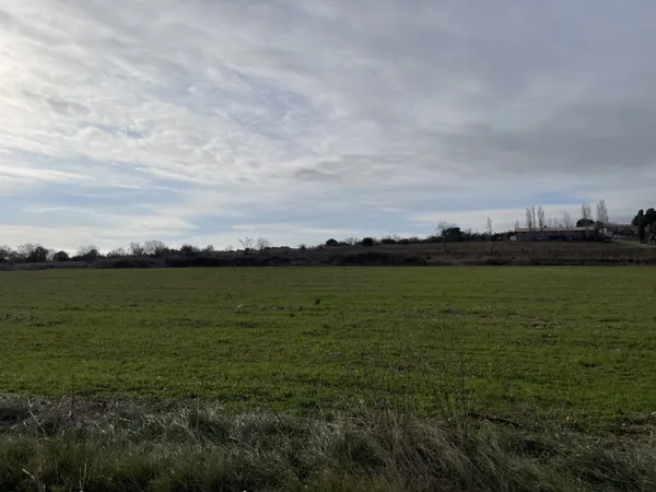 Terrain 20000 m² 