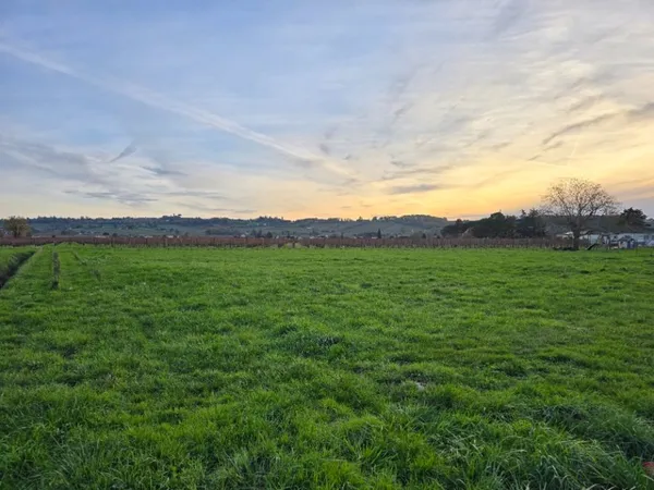 Terrain 1657 m² 