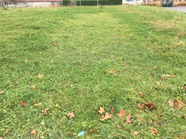 Terrain 2 950 m² Dompierre Sur Veyle 
