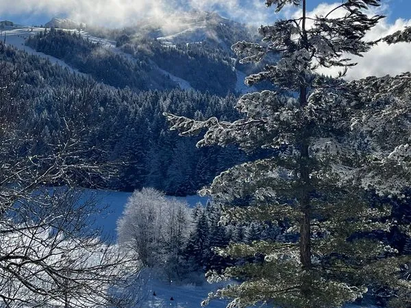 Studio sur les pistes 