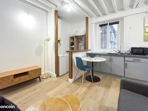 Studio 1 pièce 19 m² 