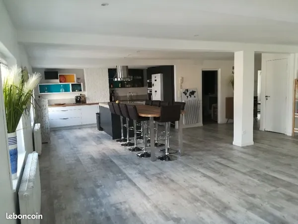 Duplex comptemporain hypercentre dans rue calme et gratuite 177 M2 4 ch 460000 euros 