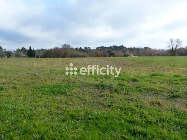 Terrain 2542 m² 