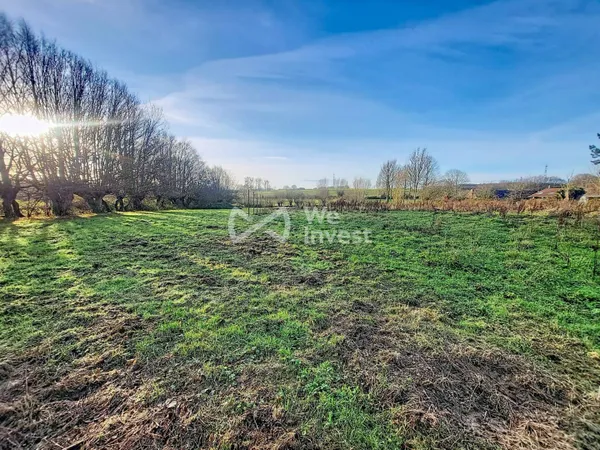 Terrain 11965 m² 