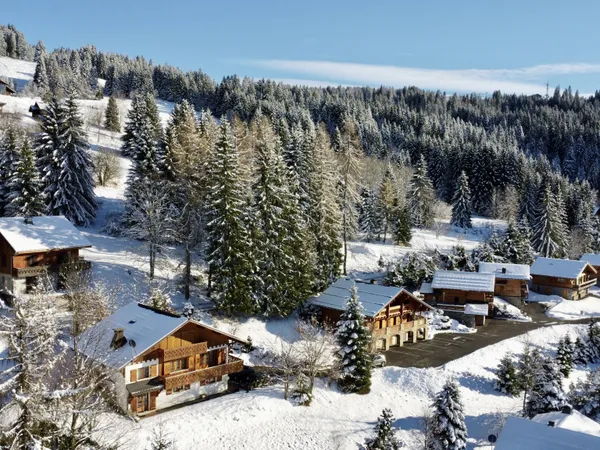 Les Chavannes, grand chalet avec terrain constructible 