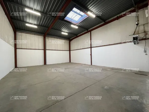 Local d'activité 245 m² 