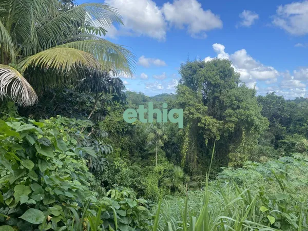 Terrain 815 m² 