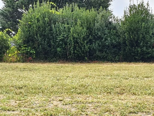 Terrain 550 m² 
