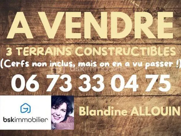 Boutique Vente La Ferté-Saint-Cyr   129000€