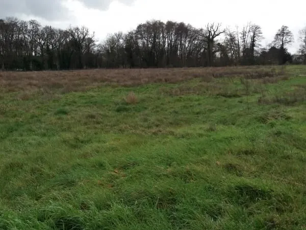 Terrain 513 m² Saint Germain Du Puch 