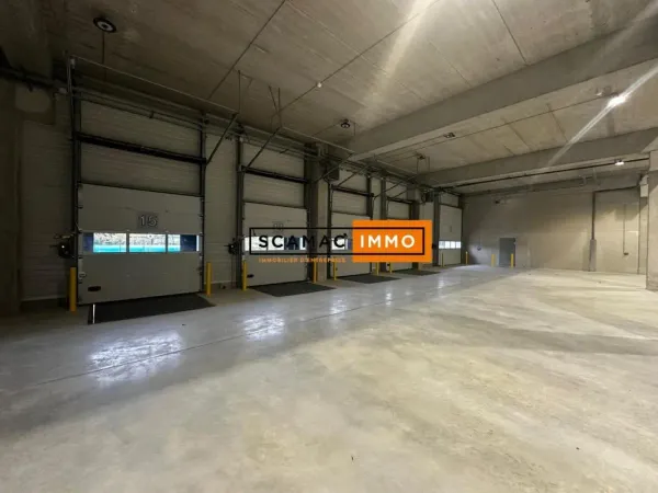 Local d'activités de 3445m² 