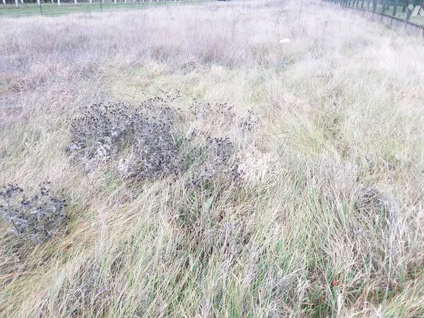 Terrain 1117 m² 