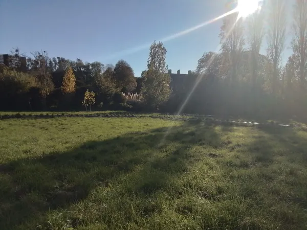 Vends terrain 