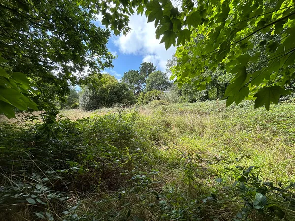 Terrain 27474 m² 