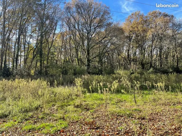 Terrain 11085 m² Saint-Selve 