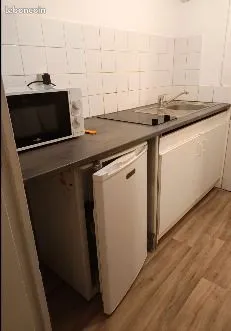 Studio 17 m² avec loggia privative de 2,5 m² (Hôpitaux-Facultés) 
